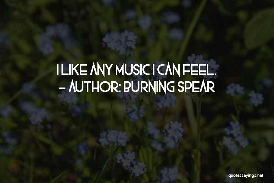 Burning Spear Quotes: I Like Any Music I Can Feel.