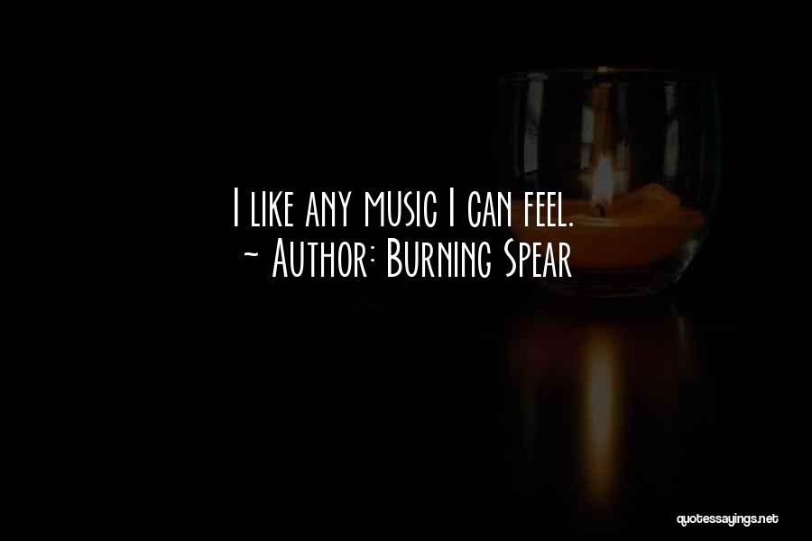 Burning Spear Quotes: I Like Any Music I Can Feel.