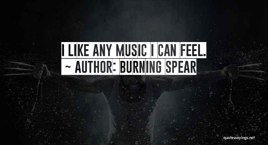 Burning Spear Quotes: I Like Any Music I Can Feel.