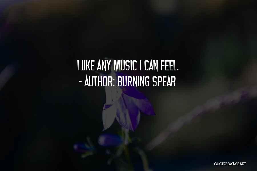 Burning Spear Quotes: I Like Any Music I Can Feel.