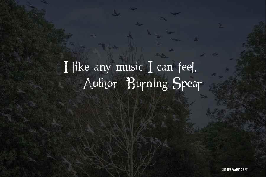 Burning Spear Quotes: I Like Any Music I Can Feel.