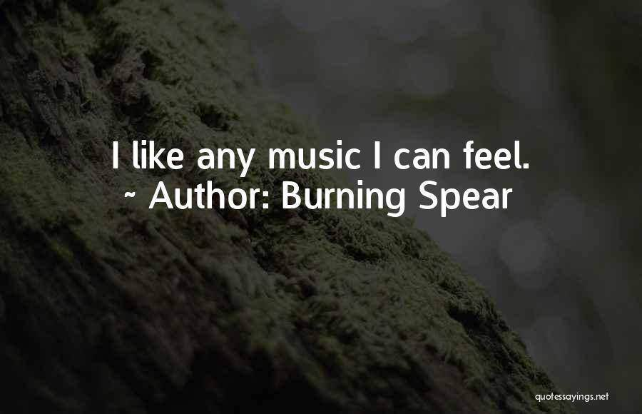 Burning Spear Quotes: I Like Any Music I Can Feel.