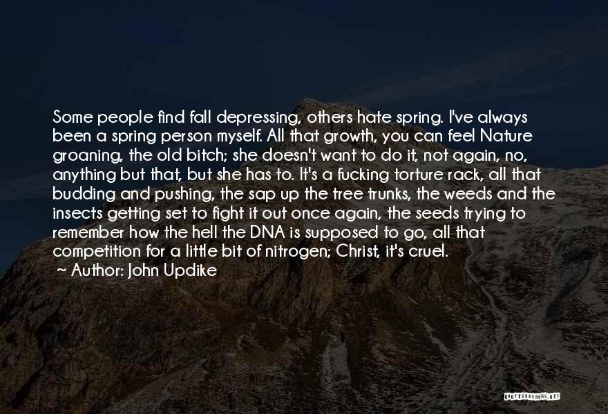 John Updike Quotes: Some People Find Fall Depressing, Others Hate Spring. I've Always Been A Spring Person Myself. All That Growth, You Can