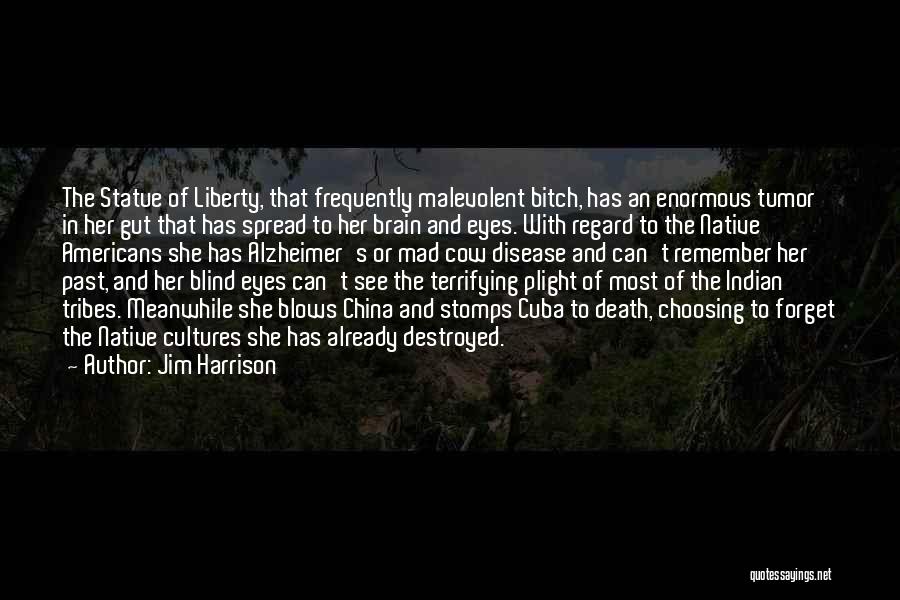 Jim Harrison Quotes: The Statue Of Liberty, That Frequently Malevolent Bitch, Has An Enormous Tumor In Her Gut That Has Spread To Her