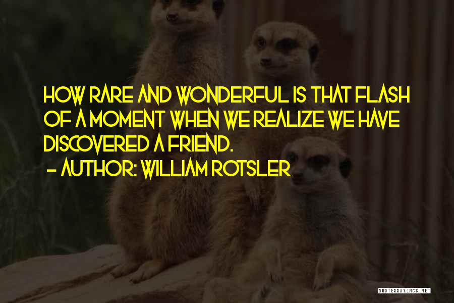 William Rotsler Quotes: How Rare And Wonderful Is That Flash Of A Moment When We Realize We Have Discovered A Friend.