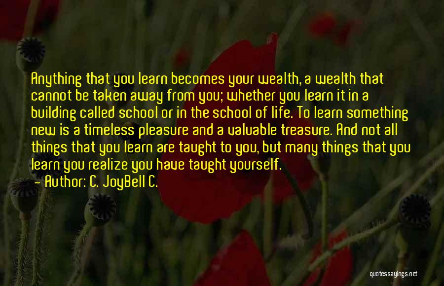 C. JoyBell C. Quotes: Anything That You Learn Becomes Your Wealth, A Wealth That Cannot Be Taken Away From You; Whether You Learn It