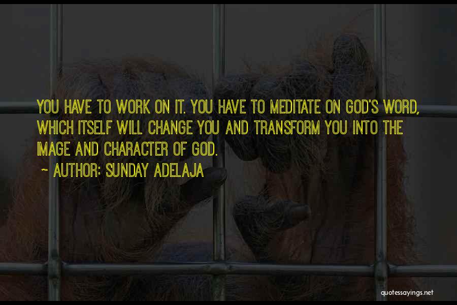 Sunday Adelaja Quotes: You Have To Work On It. You Have To Meditate On God's Word, Which Itself Will Change You And Transform