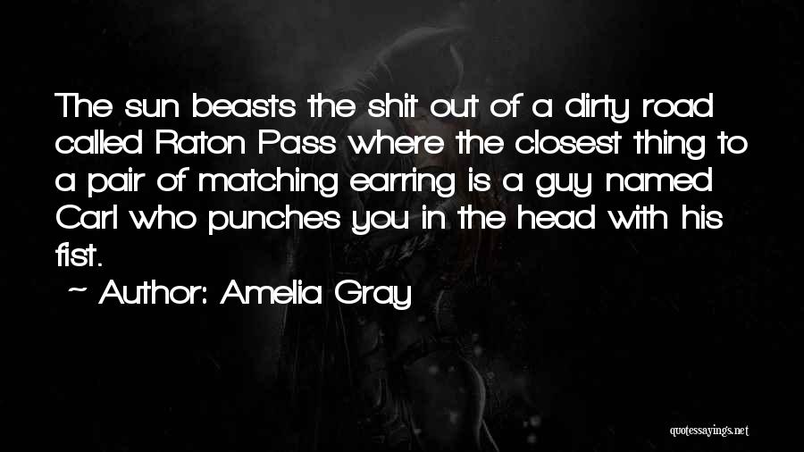 Amelia Gray Quotes: The Sun Beasts The Shit Out Of A Dirty Road Called Raton Pass Where The Closest Thing To A Pair