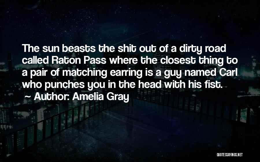 Amelia Gray Quotes: The Sun Beasts The Shit Out Of A Dirty Road Called Raton Pass Where The Closest Thing To A Pair