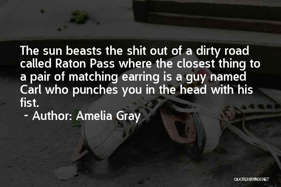 Amelia Gray Quotes: The Sun Beasts The Shit Out Of A Dirty Road Called Raton Pass Where The Closest Thing To A Pair