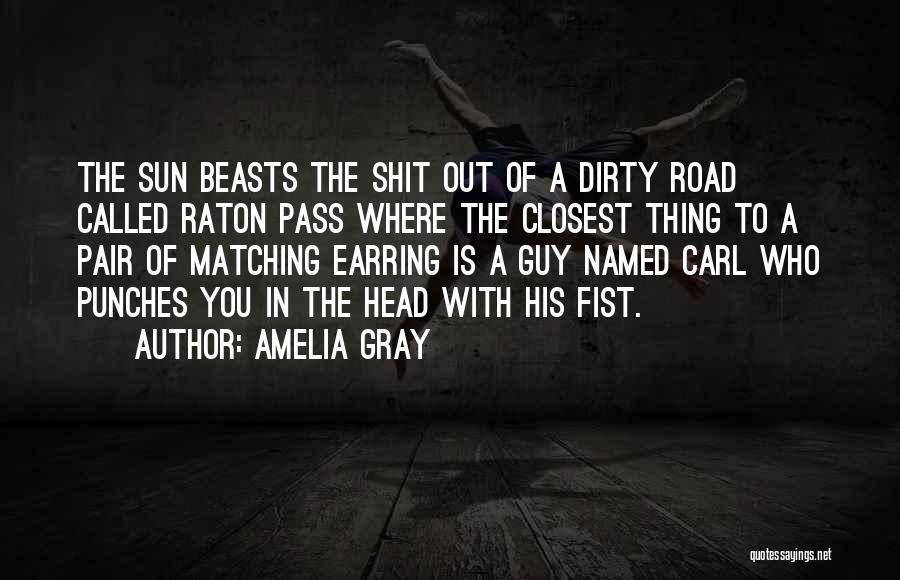 Amelia Gray Quotes: The Sun Beasts The Shit Out Of A Dirty Road Called Raton Pass Where The Closest Thing To A Pair