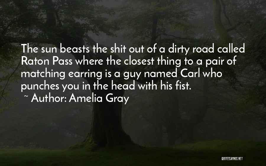 Amelia Gray Quotes: The Sun Beasts The Shit Out Of A Dirty Road Called Raton Pass Where The Closest Thing To A Pair