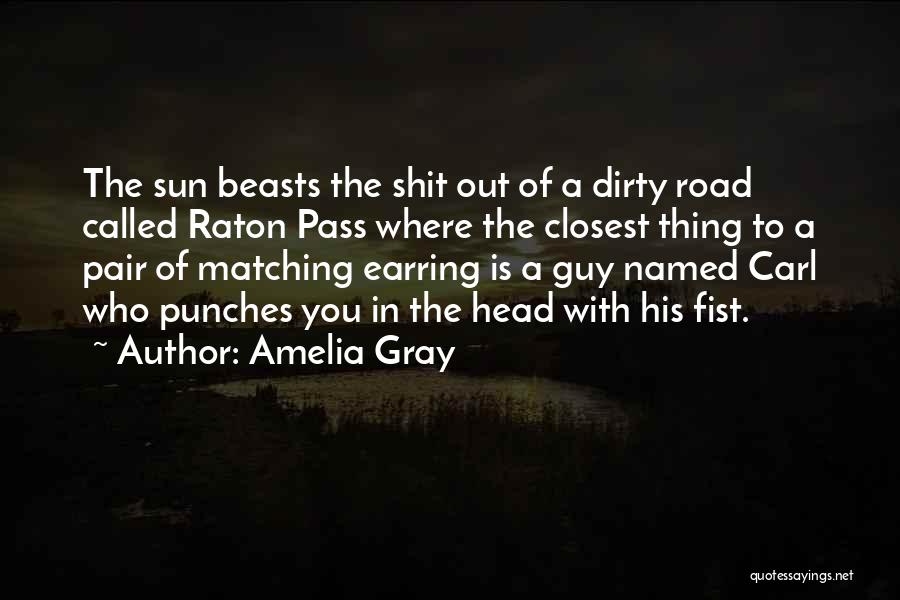 Amelia Gray Quotes: The Sun Beasts The Shit Out Of A Dirty Road Called Raton Pass Where The Closest Thing To A Pair