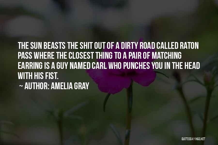 Amelia Gray Quotes: The Sun Beasts The Shit Out Of A Dirty Road Called Raton Pass Where The Closest Thing To A Pair