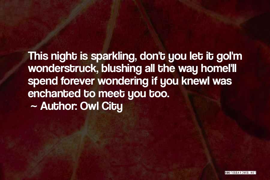 Owl City Quotes: This Night Is Sparkling, Don't You Let It Goi'm Wonderstruck, Blushing All The Way Homei'll Spend Forever Wondering If You