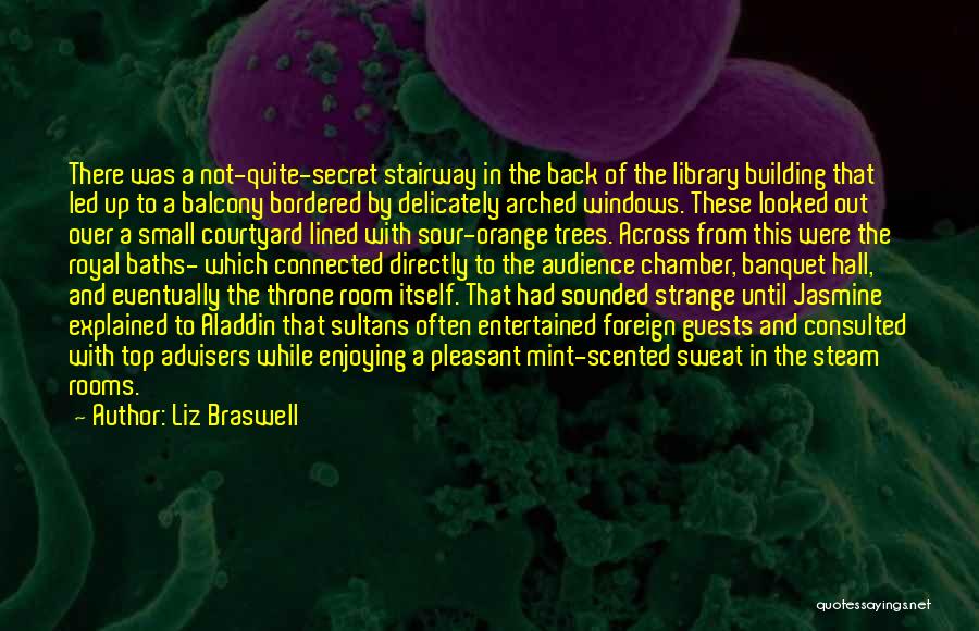 Liz Braswell Quotes: There Was A Not-quite-secret Stairway In The Back Of The Library Building That Led Up To A Balcony Bordered By