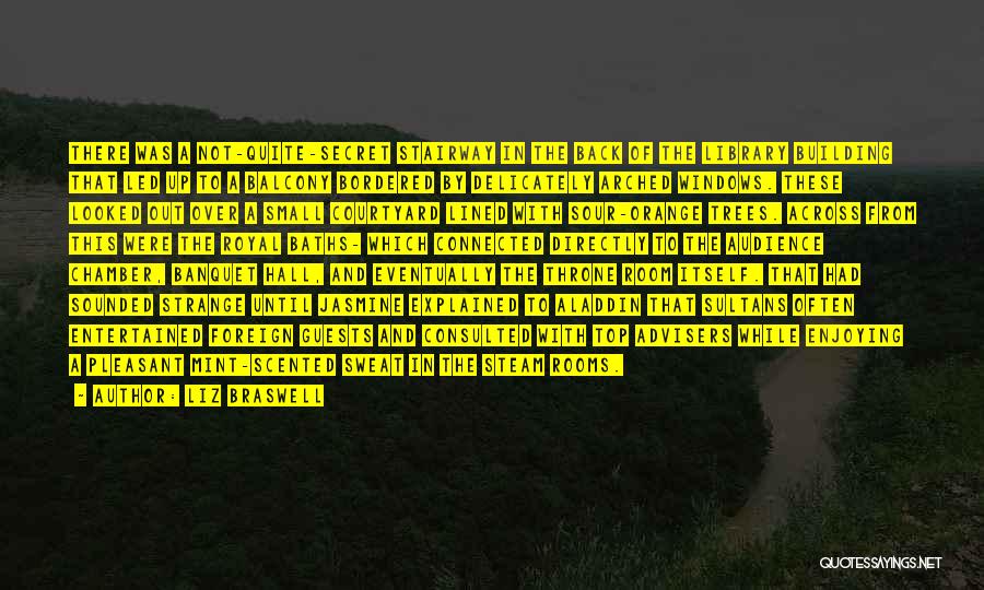 Liz Braswell Quotes: There Was A Not-quite-secret Stairway In The Back Of The Library Building That Led Up To A Balcony Bordered By