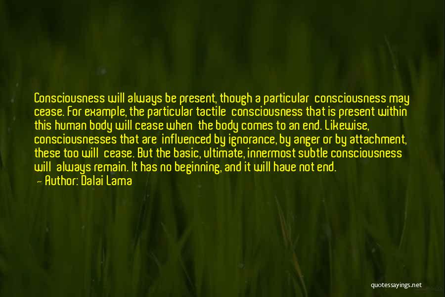 Dalai Lama Quotes: Consciousness Will Always Be Present, Though A Particular Consciousness May Cease. For Example, The Particular Tactile Consciousness That Is Present
