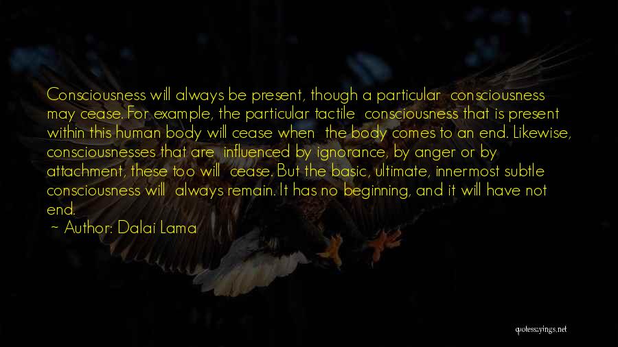 Dalai Lama Quotes: Consciousness Will Always Be Present, Though A Particular Consciousness May Cease. For Example, The Particular Tactile Consciousness That Is Present