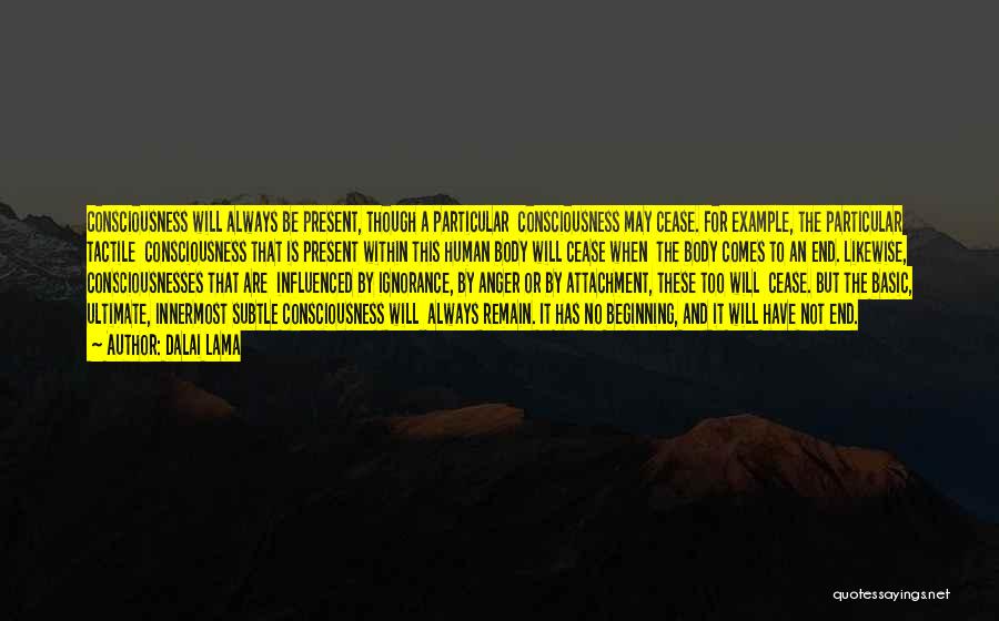 Dalai Lama Quotes: Consciousness Will Always Be Present, Though A Particular Consciousness May Cease. For Example, The Particular Tactile Consciousness That Is Present