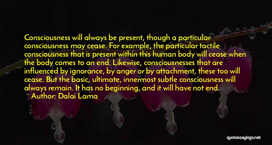 Dalai Lama Quotes: Consciousness Will Always Be Present, Though A Particular Consciousness May Cease. For Example, The Particular Tactile Consciousness That Is Present