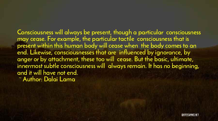 Dalai Lama Quotes: Consciousness Will Always Be Present, Though A Particular Consciousness May Cease. For Example, The Particular Tactile Consciousness That Is Present