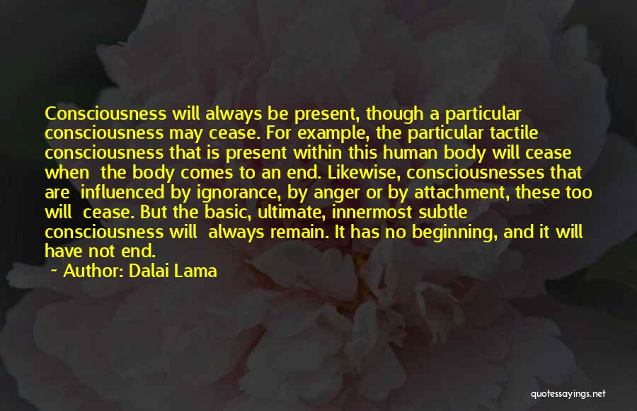 Dalai Lama Quotes: Consciousness Will Always Be Present, Though A Particular Consciousness May Cease. For Example, The Particular Tactile Consciousness That Is Present