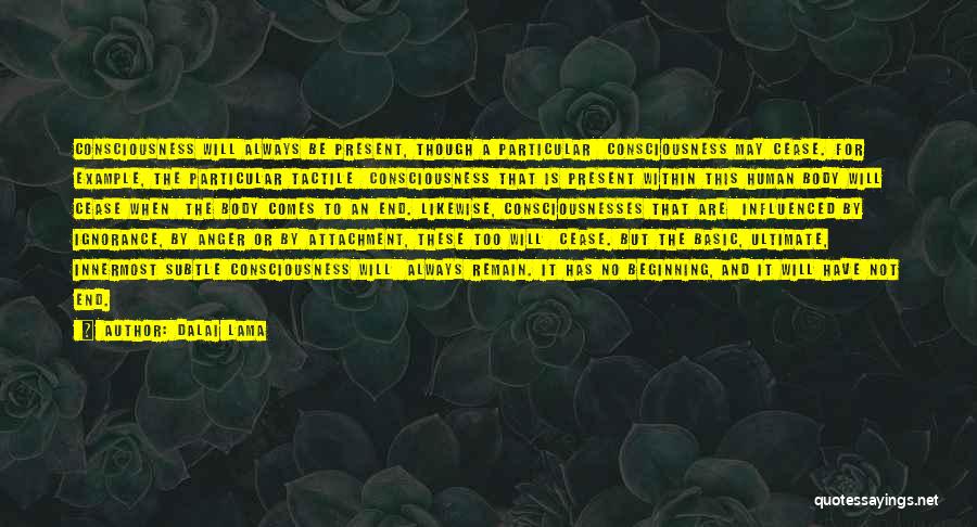 Dalai Lama Quotes: Consciousness Will Always Be Present, Though A Particular Consciousness May Cease. For Example, The Particular Tactile Consciousness That Is Present