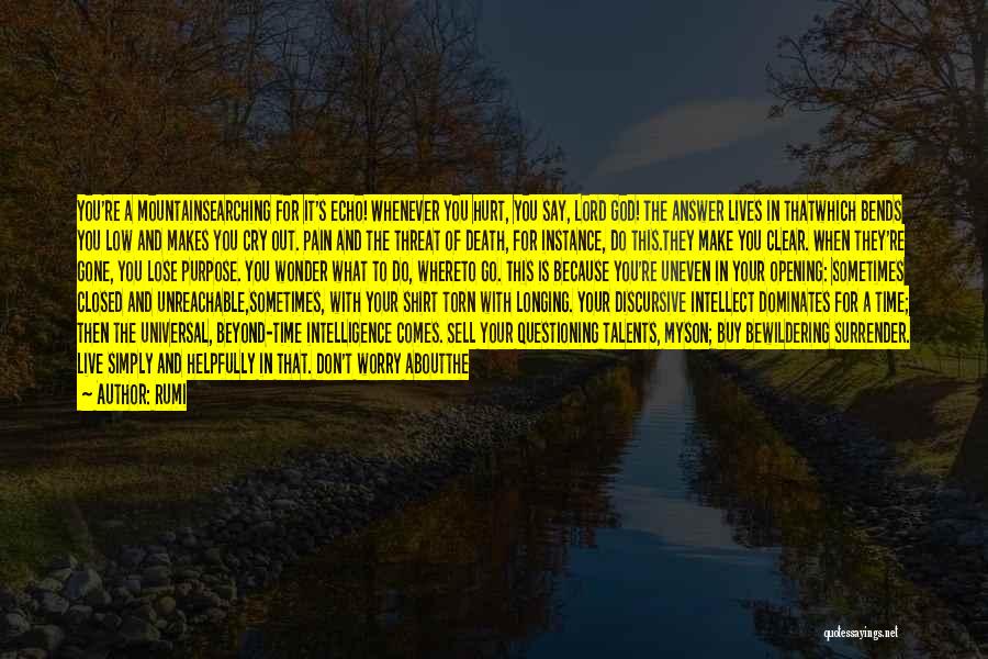 Rumi Quotes: You're A Mountainsearching For It's Echo! Whenever You Hurt, You Say, Lord God! The Answer Lives In Thatwhich Bends You