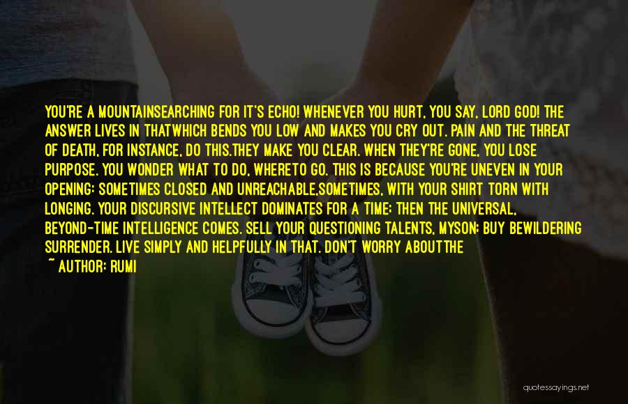 Rumi Quotes: You're A Mountainsearching For It's Echo! Whenever You Hurt, You Say, Lord God! The Answer Lives In Thatwhich Bends You