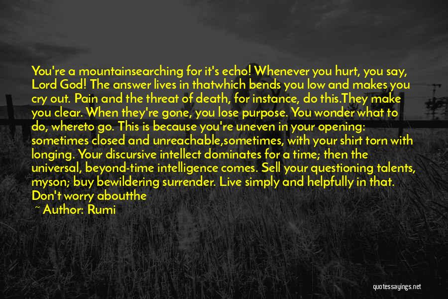 Rumi Quotes: You're A Mountainsearching For It's Echo! Whenever You Hurt, You Say, Lord God! The Answer Lives In Thatwhich Bends You