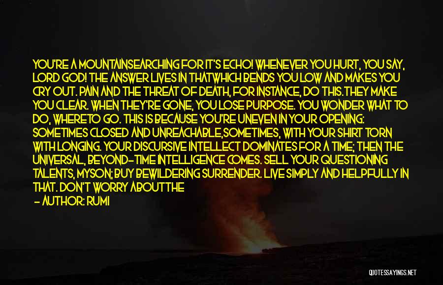 Rumi Quotes: You're A Mountainsearching For It's Echo! Whenever You Hurt, You Say, Lord God! The Answer Lives In Thatwhich Bends You