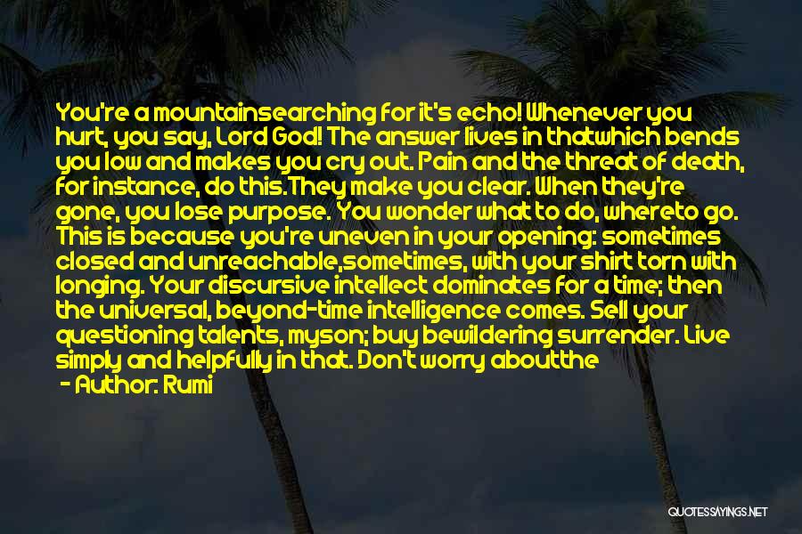 Rumi Quotes: You're A Mountainsearching For It's Echo! Whenever You Hurt, You Say, Lord God! The Answer Lives In Thatwhich Bends You