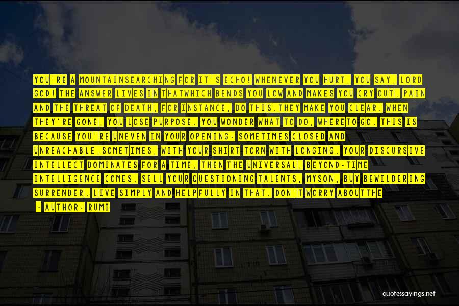 Rumi Quotes: You're A Mountainsearching For It's Echo! Whenever You Hurt, You Say, Lord God! The Answer Lives In Thatwhich Bends You