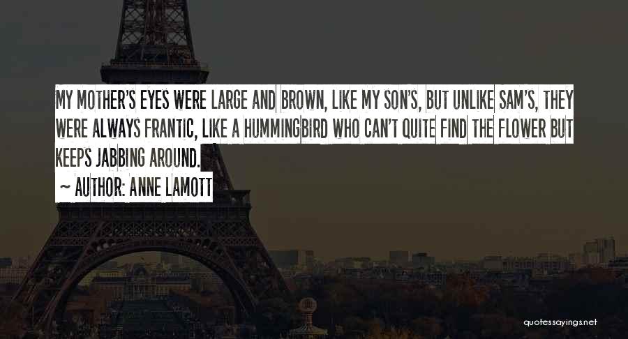 Anne Lamott Quotes: My Mother's Eyes Were Large And Brown, Like My Son's, But Unlike Sam's, They Were Always Frantic, Like A Hummingbird