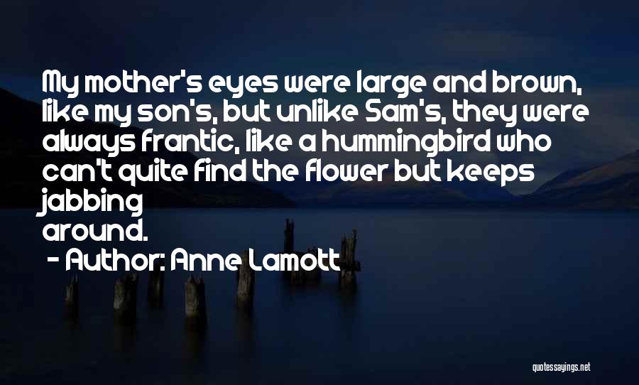Anne Lamott Quotes: My Mother's Eyes Were Large And Brown, Like My Son's, But Unlike Sam's, They Were Always Frantic, Like A Hummingbird