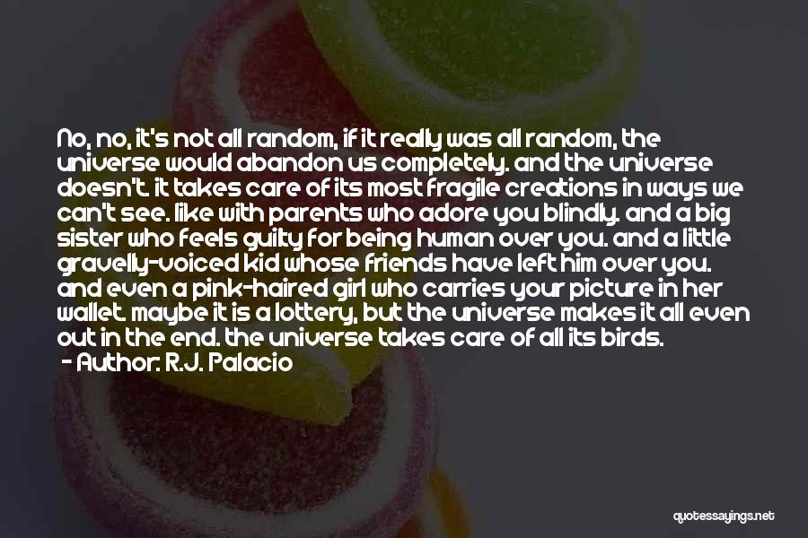 R.J. Palacio Quotes: No, No, It's Not All Random, If It Really Was All Random, The Universe Would Abandon Us Completely. And The