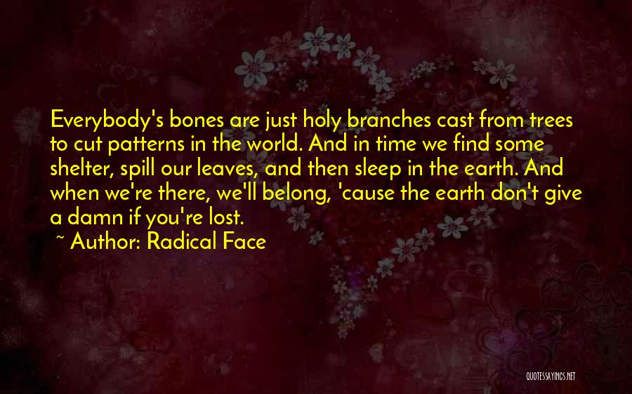 Radical Face Quotes: Everybody's Bones Are Just Holy Branches Cast From Trees To Cut Patterns In The World. And In Time We Find