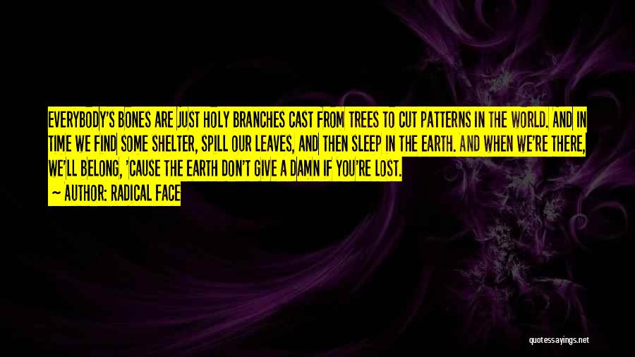 Radical Face Quotes: Everybody's Bones Are Just Holy Branches Cast From Trees To Cut Patterns In The World. And In Time We Find