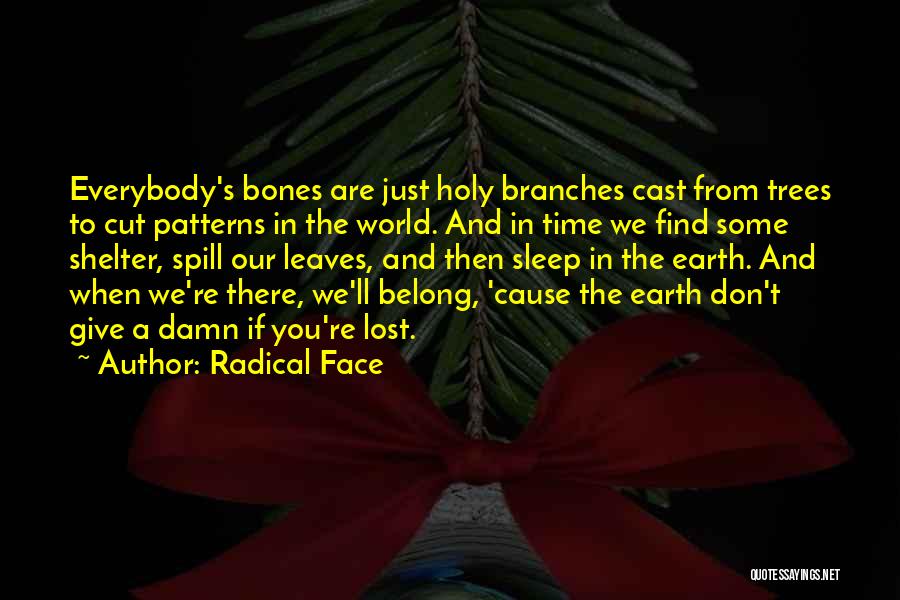 Radical Face Quotes: Everybody's Bones Are Just Holy Branches Cast From Trees To Cut Patterns In The World. And In Time We Find