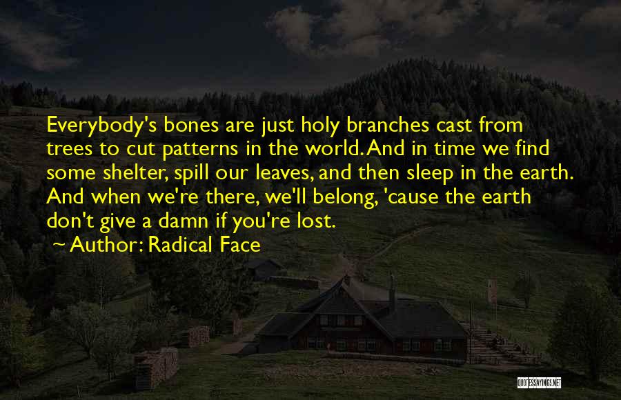 Radical Face Quotes: Everybody's Bones Are Just Holy Branches Cast From Trees To Cut Patterns In The World. And In Time We Find