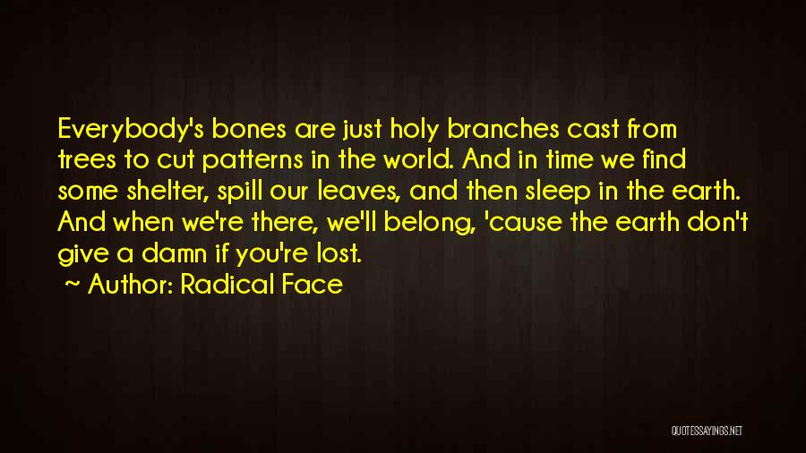 Radical Face Quotes: Everybody's Bones Are Just Holy Branches Cast From Trees To Cut Patterns In The World. And In Time We Find