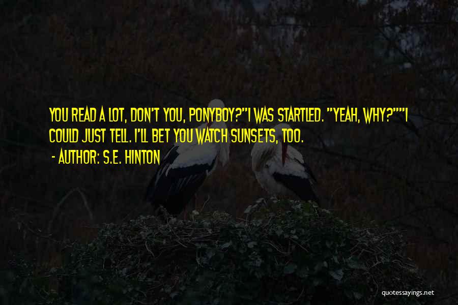 S.E. Hinton Quotes: You Read A Lot, Don't You, Ponyboy?i Was Startled. Yeah, Why?i Could Just Tell. I'll Bet You Watch Sunsets, Too.