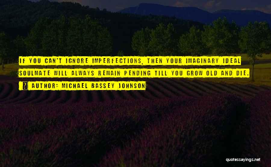 Michael Bassey Johnson Quotes: If You Can't Ignore Imperfections, Then Your Imaginary Ideal Soulmate Will Always Remain Pending Till You Grow Old And Die.