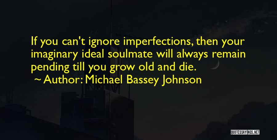 Michael Bassey Johnson Quotes: If You Can't Ignore Imperfections, Then Your Imaginary Ideal Soulmate Will Always Remain Pending Till You Grow Old And Die.
