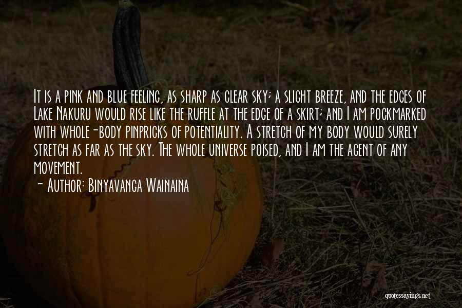 Binyavanga Wainaina Quotes: It Is A Pink And Blue Feeling, As Sharp As Clear Sky; A Slight Breeze, And The Edges Of Lake