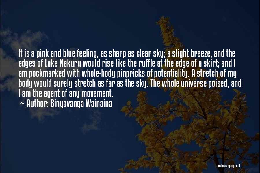 Binyavanga Wainaina Quotes: It Is A Pink And Blue Feeling, As Sharp As Clear Sky; A Slight Breeze, And The Edges Of Lake