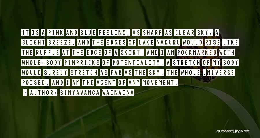 Binyavanga Wainaina Quotes: It Is A Pink And Blue Feeling, As Sharp As Clear Sky; A Slight Breeze, And The Edges Of Lake