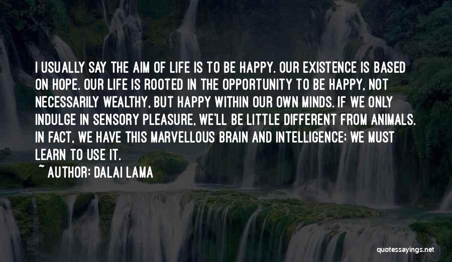 Dalai Lama Quotes: I Usually Say The Aim Of Life Is To Be Happy. Our Existence Is Based On Hope. Our Life Is