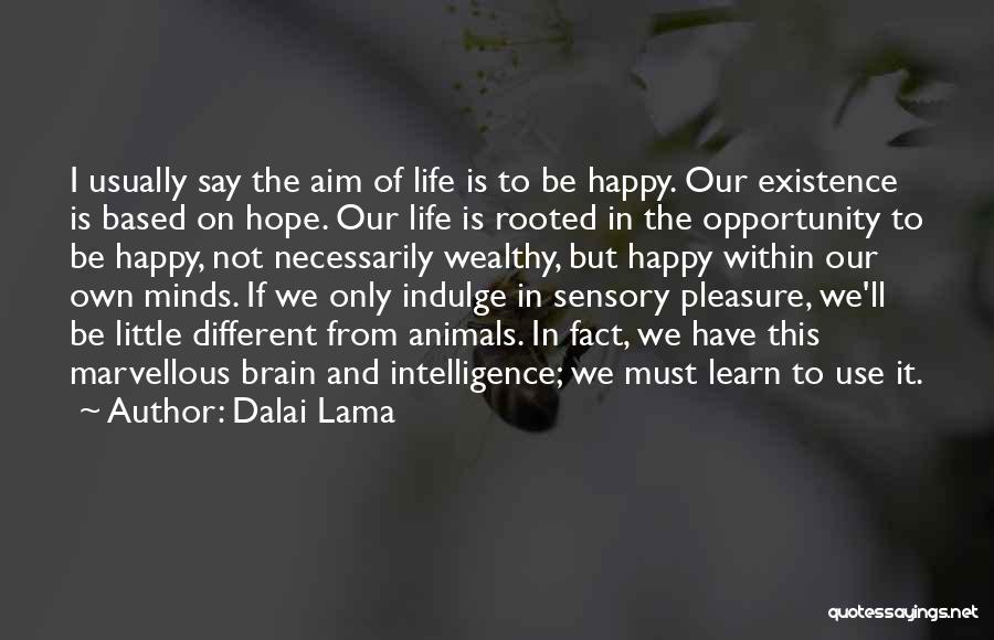 Dalai Lama Quotes: I Usually Say The Aim Of Life Is To Be Happy. Our Existence Is Based On Hope. Our Life Is